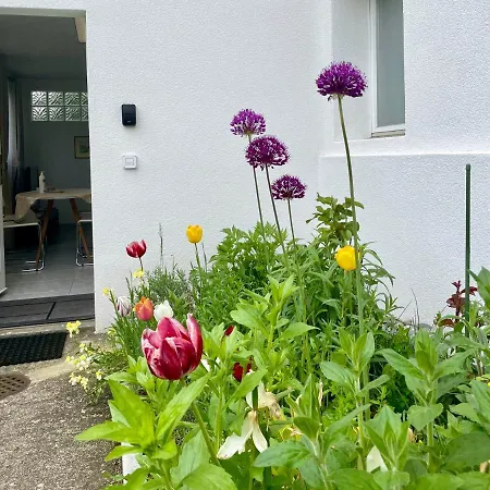 Studio In Stadtnaehe Zuerich Mit Guter Verkehrsanbindung Adliswil Exterior photo